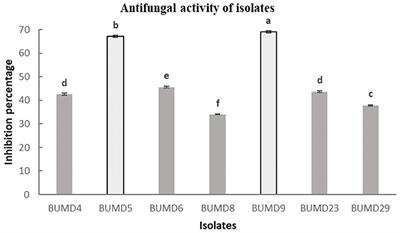 Shielding of Photosynthetic Apparatus by Consortia of Bacterial Endophytes in Tomato Plants Suffering From Fusarium Wilt